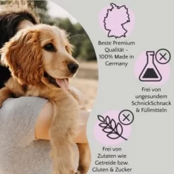 FAVLY Petfood FAVLY Probierpaket "Meat Roll" 13 FAVLY Petfood FAVLY Probierpaket "Meat Roll" -Tierbedarf Fach Geschäfte f95f6d73b471bb4d2f747832dc517a14a97951b3 1475312 de DE 1599c09ca60134efdb65d5d73f221243ffcd3c9aM1RqUZ